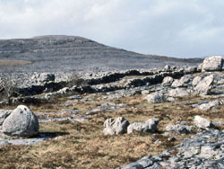 The Burren